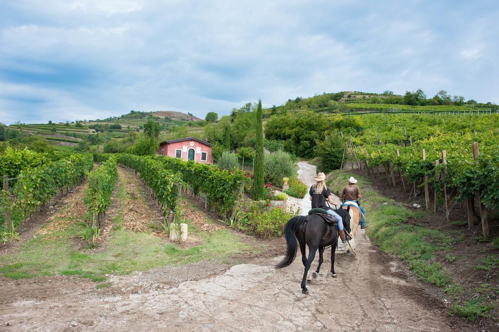 Casa Costa Relais B&B Monteforte dʼAlpone Exteriér fotografie